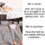 other memes Funny, Summer, Step, Florida, Winter, Texas text: Me in winter: Ahh..AIl I have to do is snuggle in my blanket and avoid getting cold...zzz Me in summer: How the hell do you sleep without a blanket...  Funny, Summer, Step, Florida, Winter, Texas