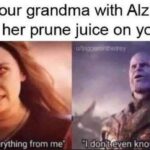 Avengers Memes Thanos,  text: When your grandma with Alzheimers spills her prune juice on your pc •you took everything from me•, - I dOLkt eyen koow who you—  Thanos, 