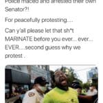 Black Twitter Memes Tweets, Trump, Obama, New York, Harvard text: FlipAndBarter @TaTanxyz Police maced and arrested their own Senator?! For peacefully protesting Can y