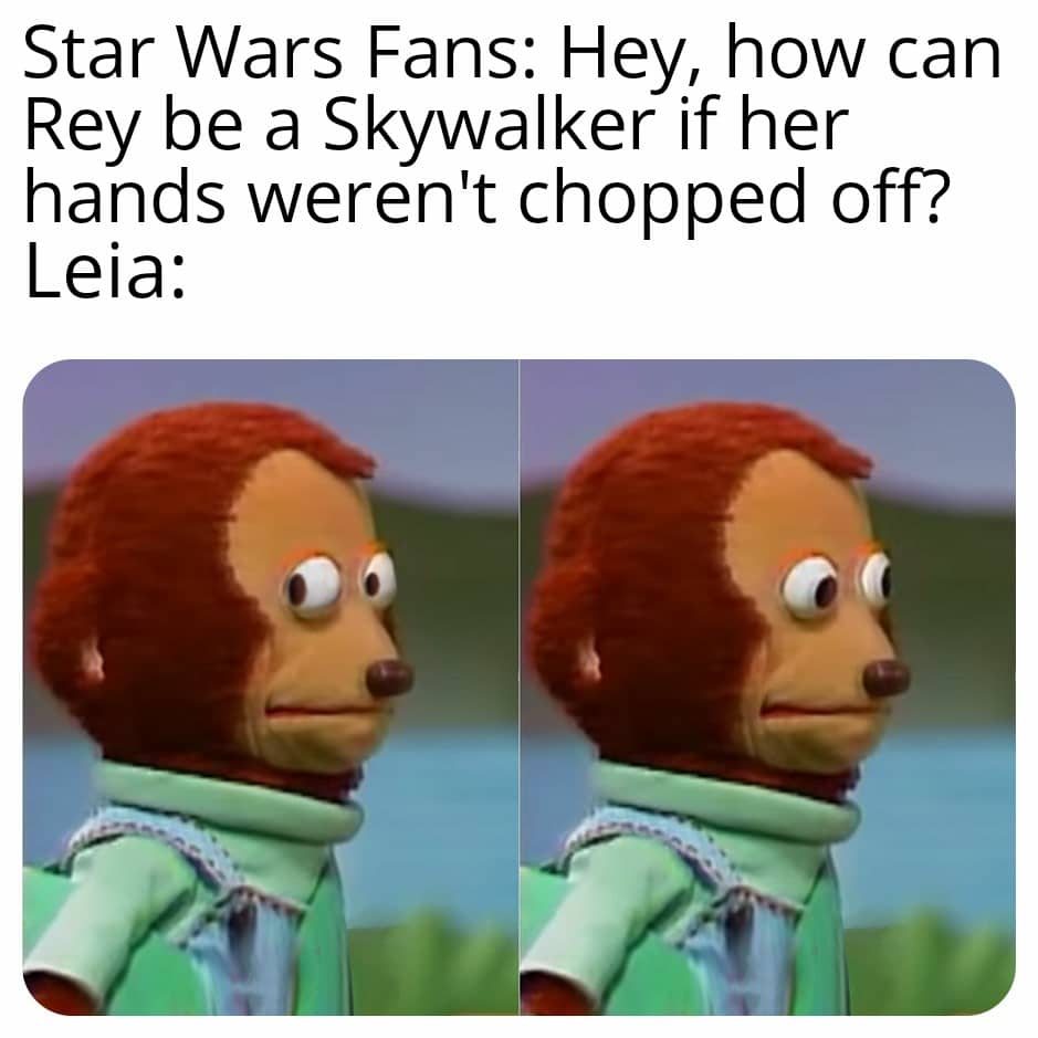 Skywalker, Rey, Leia, Shmi, Luke, Organa Star Wars Memes Skywalker, Rey, Leia, Shmi, Luke, Organa text: Star Wars Fans: Hey, how can Rey be a Skywalker if her hands weren't chopped off? Leia: 