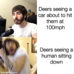 Dank Memes Dank, Charlie, Visit, OC, Negative, JPEG text: Deers seeing a car about to hit them at 100mph Deers seeing a human sitting down made"wit mematic  Dank, Charlie, Visit, OC, Negative, JPEG