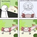 Wholesome Memes Wholesome memes, Kipper, Axolotls text: hey lil buddi you