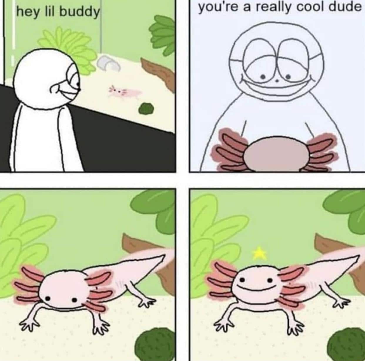 Wholesome memes, Kipper, Axolotls Wholesome Memes Wholesome memes, Kipper, Axolotls text: hey lil buddi you're a really cool dude 