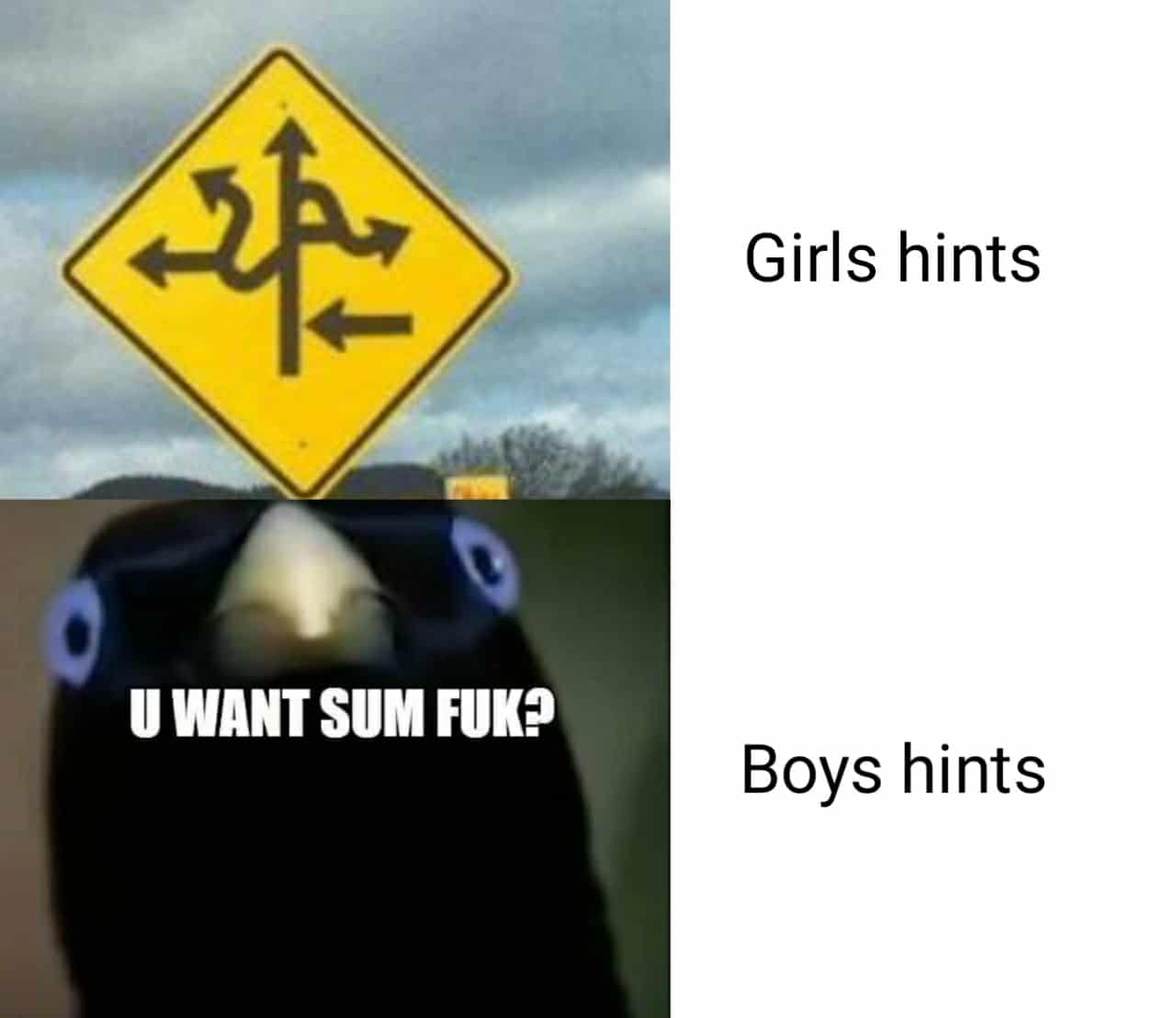 Dank, Bitches Dank Memes Dank, Bitches text: Girls hints U WANT SUM Boys hints 