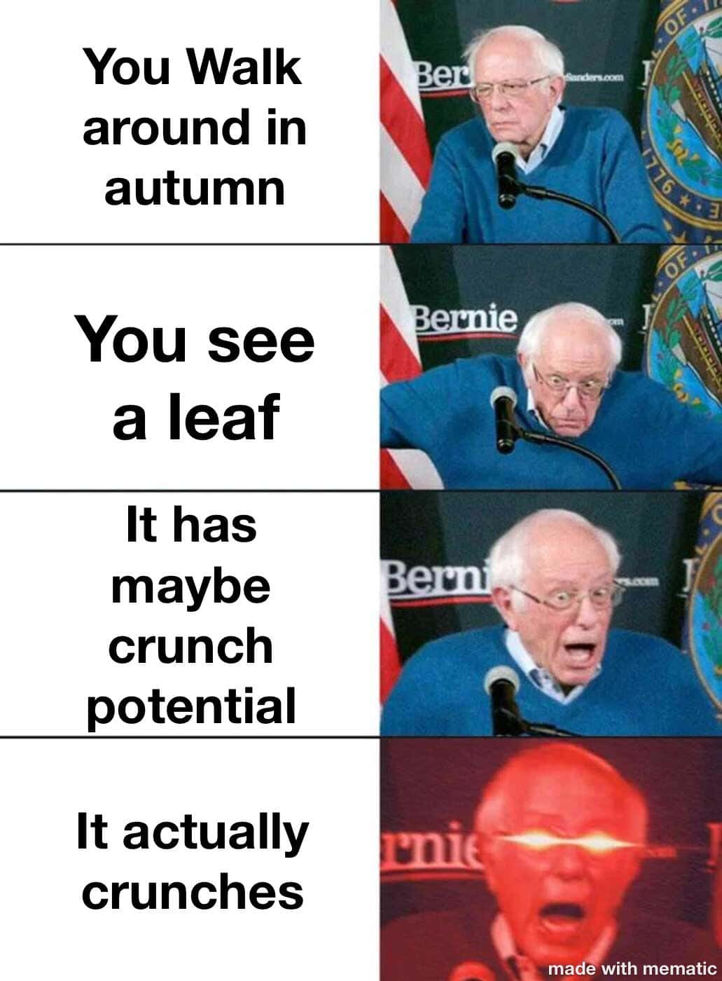 Dank, Visit, OC, Negative, JPEG, Feedback other memes Dank, Visit, OC, Negative, JPEG, Feedback text: You Walk around in autumn You a leaf It has maybe crunch potential It actually crunches made with mematic 