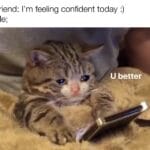 Wholesome Memes Wholesome memes,  text:  Wholesome memes, 