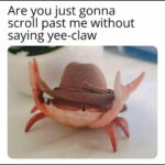 Wholesome Memes Wholesome memes, Claw, Yee, EE-CLAW, CLAW text: Are you just gonna scroll past me without saying Yee-claw 