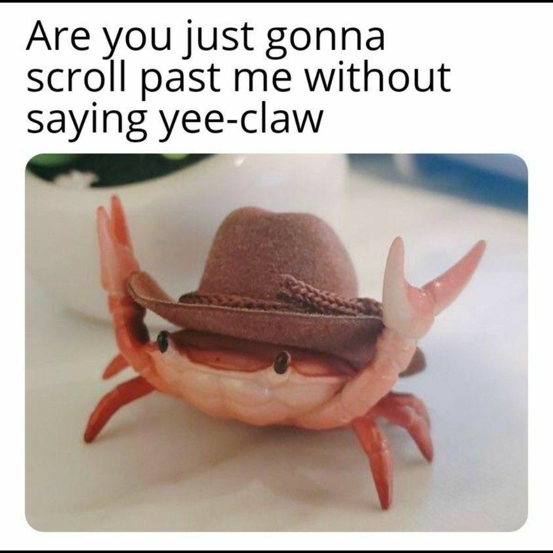 Wholesome memes, Claw, Yee, EE-CLAW, CLAW Wholesome Memes Wholesome memes, Claw, Yee, EE-CLAW, CLAW text: Are you just gonna scroll past me without saying Yee-claw 