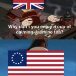 History Memes History, British, Iroh, Boston Tea Party, American, Zuko text: you enjeyäcup of 2 Why d calmingædasmine tea€ any calming tea!q 