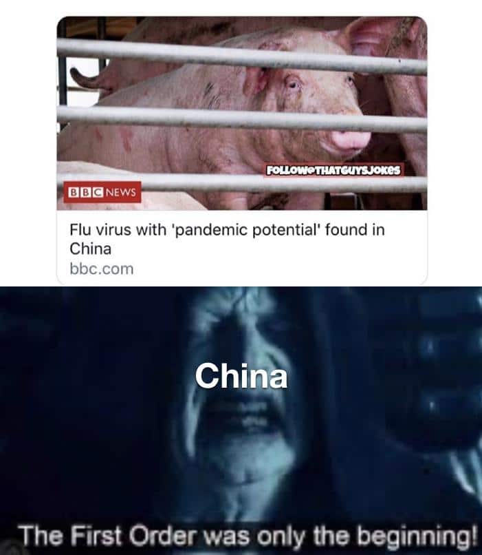Sequel-memes, Quite Star Wars Memes Sequel-memes, Quite text: OD@NEWS Flu virus with 'pandemic potential' found in China bbc.com China The First Order was only the beginning! 