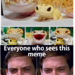other memes Funny, Butter, Toothless, Gecko text: Look how happy this gecko is with his little gecko toy Everyone hosees this meme  Funny, Butter, Toothless, Gecko