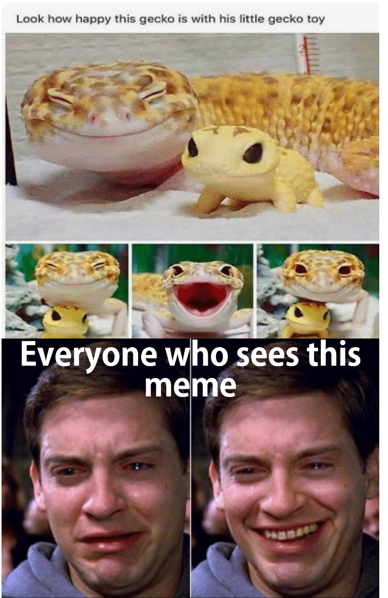 Funny, Butter, Toothless, Gecko other memes Funny, Butter, Toothless, Gecko text: Look how happy this gecko is with his little gecko toy Everyone hosees this meme 