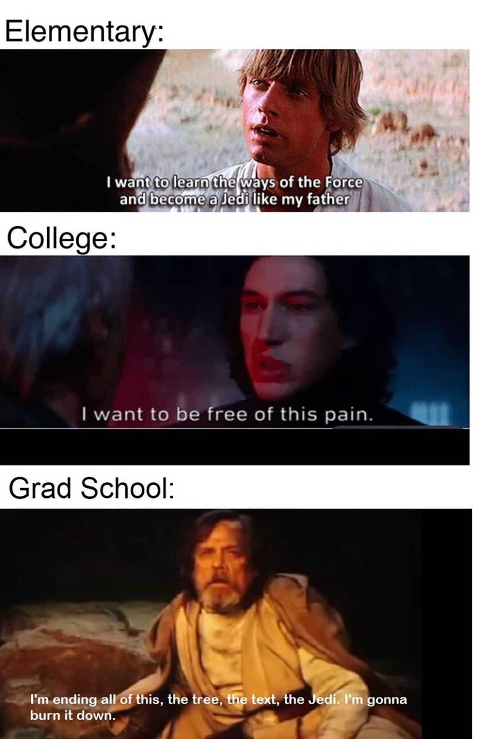 Sequel-memes,  Star Wars Memes Sequel-memes,  text: Elementary: I want to learn the ways of the Forc6ikf ané@gcomqa Jed7iike my fatherf College: I want to be free of this pain. Grad School: I'm ending al of this, the tree, t@text, the edl. I'm gonna burn it down. 