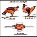 cringe memes Cringe, Haha text: Chicken Lifestyle In Put out Put Ka Put  Cringe, Haha