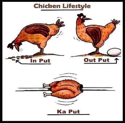 Cringe, Haha cringe memes Cringe, Haha text: Chicken Lifestyle In Put out Put Ka Put 