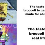 Spongebob Memes Spongebob, Brussels text: The taste of broccoli in cartoons made for children The taste of broccoli in real life  Spongebob, Brussels
