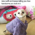 Wholesome Memes Wholesome memes,  text: When your Mom picked you out a new outfit and keeps telling you how handsome you look in it  Wholesome memes, 