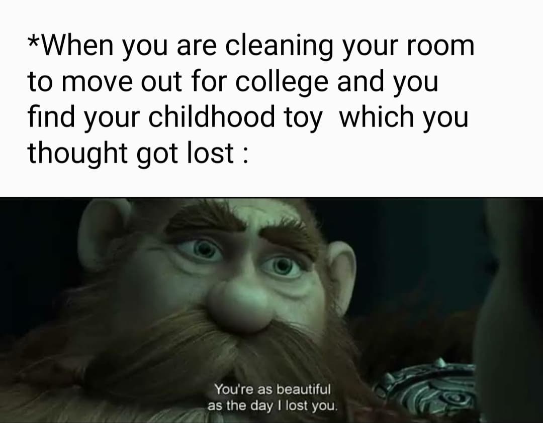 Wholesome memes,  Wholesome Memes Wholesome memes,  text: *When you are cleaning your room to move out for college and you find your childhood toy which you thought got lost : You're as beautiful as the day I lost you. 
