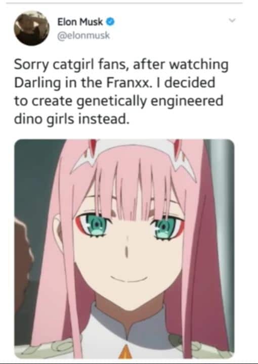 Anime, Elon, AE Anime Memes Anime, Elon, AE text: Elon Musk O @elonmusk Sorry catgirl fans, after watching Darling in the Franxx. I decided to create genetically engineered dino girls instead. 