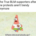 Spongebob Memes Spongebob, Goodbye text: The True BLM supporters after the protests aren