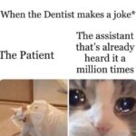 other memes Funny, Patient, Dentist text: When the Dentist makes a joke* The Patient The assistant that