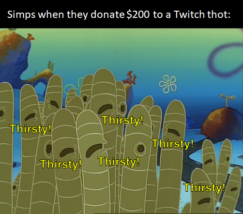 Spongebob, SpongeBob, Making, Home Sweet Pineapple Spongebob Memes Spongebob, SpongeBob, Making, Home Sweet Pineapple text: Simps when they donate $200 to a Twitch thot: —Thirsty! T-h irsty! Thir ty-! Thirsty! T irsty! 
