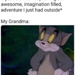 Wholesome Memes Wholesome memes, VHS, MMORPGs text: 6-year old Me: *explaining the awesome, imagination filled, adventure I just had outside* My Grandma:  Wholesome memes, VHS, MMORPGs