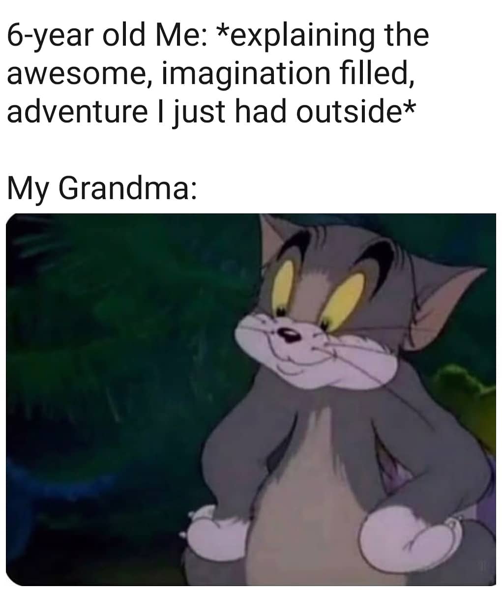 Wholesome memes, VHS, GF Wholesome Memes Wholesome memes, VHS, GF text: 6-year old Me: *explaining the awesome, imagination filled, adventure I just had outside* My Grandma: 