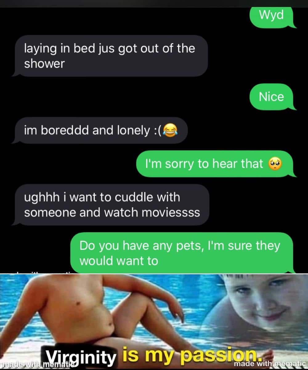 Funny, Reddit other memes Funny, Reddit text: laying in bed jus got out of the shower Nice im boreddd and lonely 11m sorry to hear that ughhh i want to cuddle with someone and watch moviessss Do you have any pets, I'm sure they would want to Yärtginity is m asslopv ma e wit 