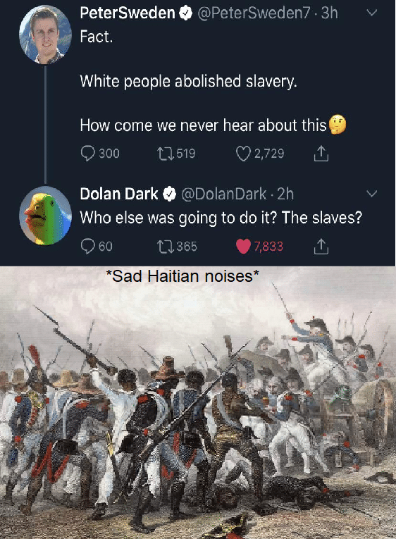 History, Haiti, Haitian, French, Sweden, Haitians History Memes History, Haiti, Haitian, French, Sweden, Haitians text: PeterSweden O @PeterSweden7 • 3h Fact. White people abolished slavery. How come we never hear about this' 0 300 u 519 0 2,729 Dolan Dark O @DolanDark 2h Who else was going to do it? The slaves? 0 60 Q 365 '7,833 *Sad Haitian noises* 
