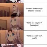 Anime Memes Anime,  text: Bring home stuff from a fun anime convention Parents look through the info booklet "What is a way-bo?" (weeaboo) "What is a waif-oo?" (waifu) "What is hen-tay?