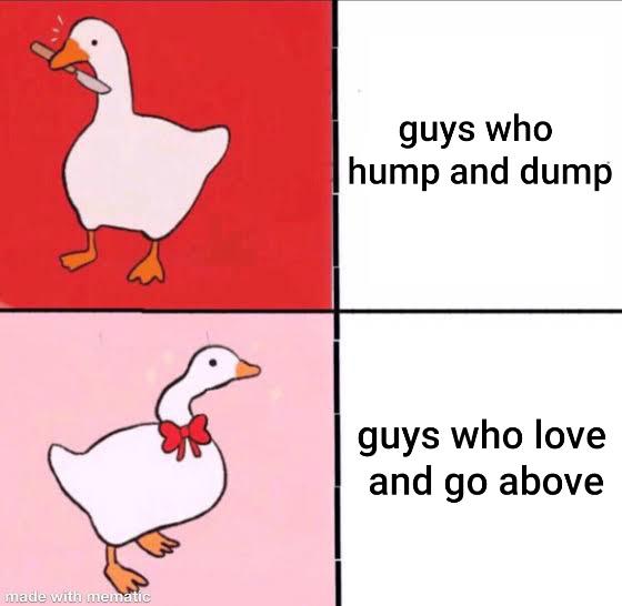 Wholesome memes,  Wholesome Memes Wholesome memes,  text: guys who hump and dump guys who love and go above 