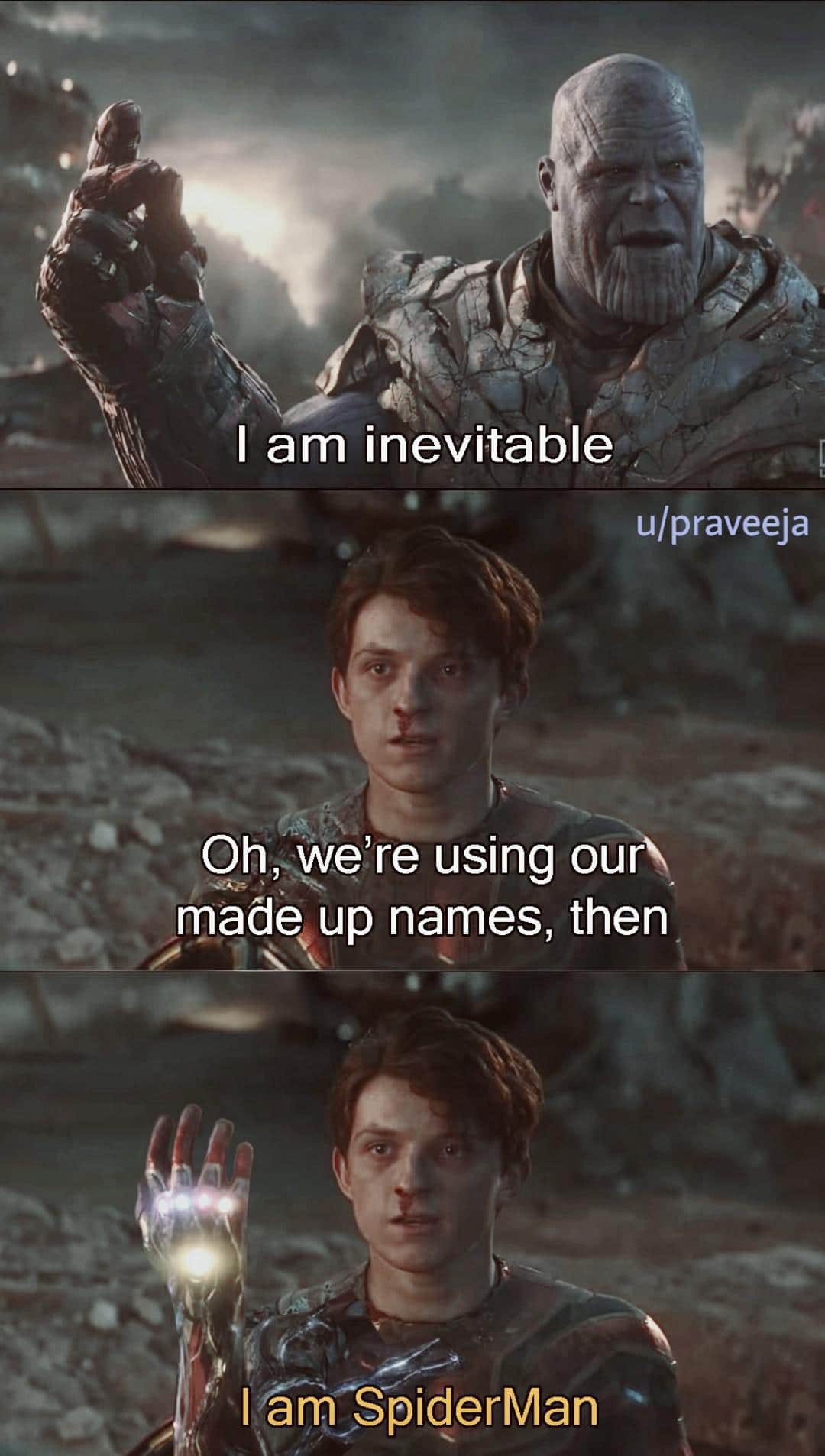 Thanos,  Avengers Memes Thanos,  text: I am inevitable u/praveeja Oh, we're using our made up names, then I am*SpiderMan 