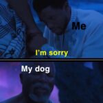 Wholesome Memes Wholesome memes,  text: When I accidentally step on my dogs paw but they forgive me I