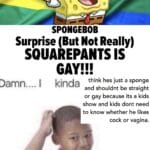 Dank Memes Dank, Sandy, LGBT, Spongebob, Nickelodeon, LGBTQ text: SPONGEBOB Surprise (But Not Really) SQUAREPANTS IS GAY!!! Damn.... I kinda think hes just a sponge and shouldnt be straight or gay because its a kids show and kids dont need to know whether he likes cock or vagina.  Dank, Sandy, LGBT, Spongebob, Nickelodeon, LGBTQ