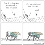 Comics Stuck, Satan, Morty, HOUSE FLY text: how do spiders avoid getting stuck to their own webs? it Is a simple technigue. i can teach you. cooll theycantalk.com  Stuck, Satan, Morty, HOUSE FLY
