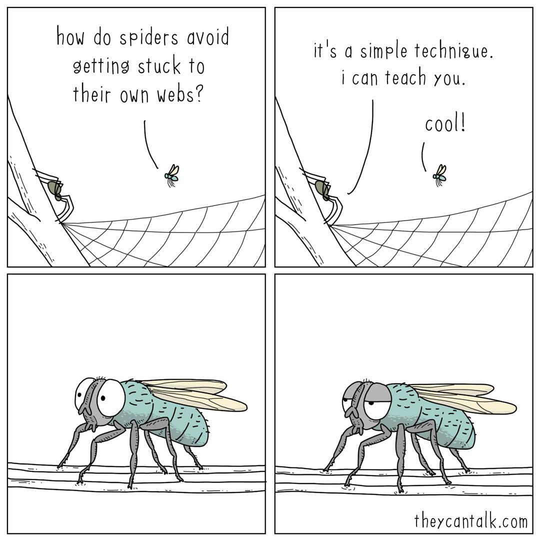 Stuck, Satan, Morty, HOUSE FLY Comics Stuck, Satan, Morty, HOUSE FLY text: how do spiders avoid getting stuck to their own webs? it Is a simple technigue. i can teach you. cooll theycantalk.com 
