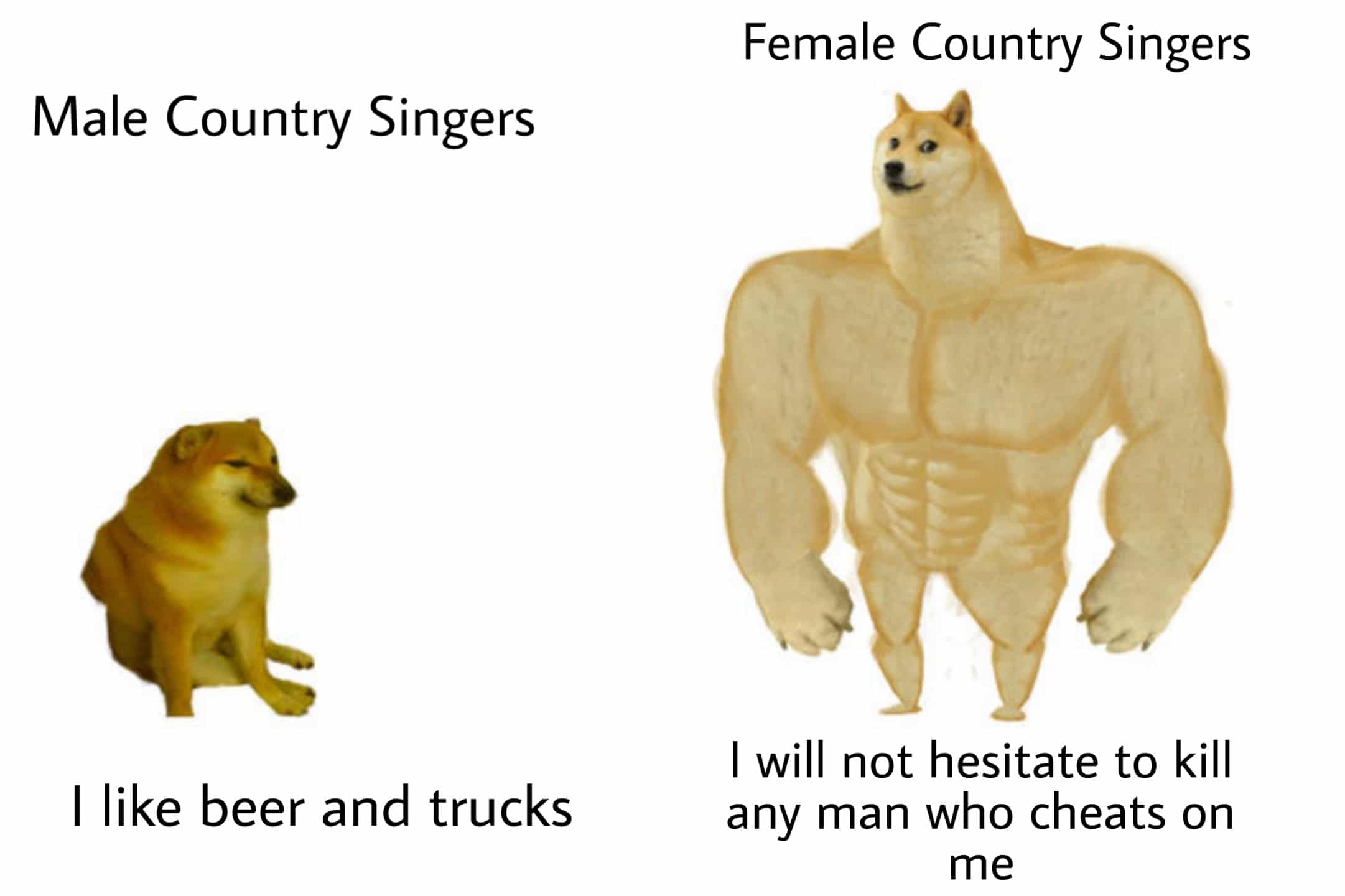 Dank, Carrie Underwood, Tyler Childers, Taylor Swift, Garth, Chris Stapleton Dank Memes Dank, Carrie Underwood, Tyler Childers, Taylor Swift, Garth, Chris Stapleton text: Male Country Singers I like beer and trucks Female Country Singers I will not hesitate to kill any man who cheats on me 