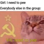 other memes Funny, French, Women, Stalin, Russian, Reddit text: Girl: I need to pee Everybody else in the group: WEneed to pee 