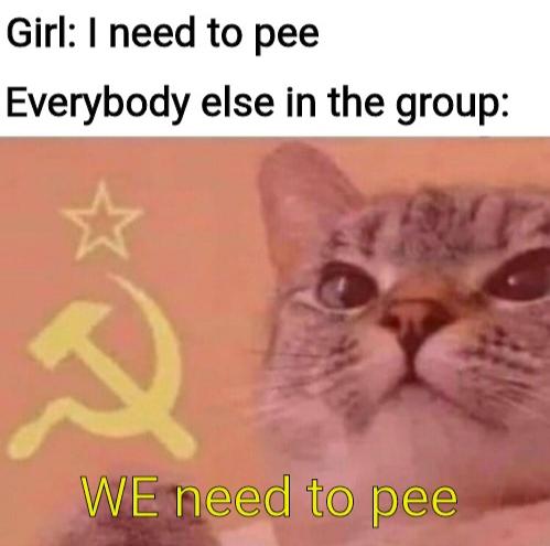 Funny, French, Women, Stalin, Russian, Reddit other memes Funny, French, Women, Stalin, Russian, Reddit text: Girl: I need to pee Everybody else in the group: WEneed to pee 