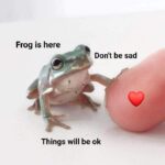 Wholesome Memes Wholesome memes,  text: Frog is here Don