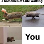 Wholesome Memes Wholesome memes, Hitler text: 4 horsemen of Cute Walking You  Wholesome memes, Hitler