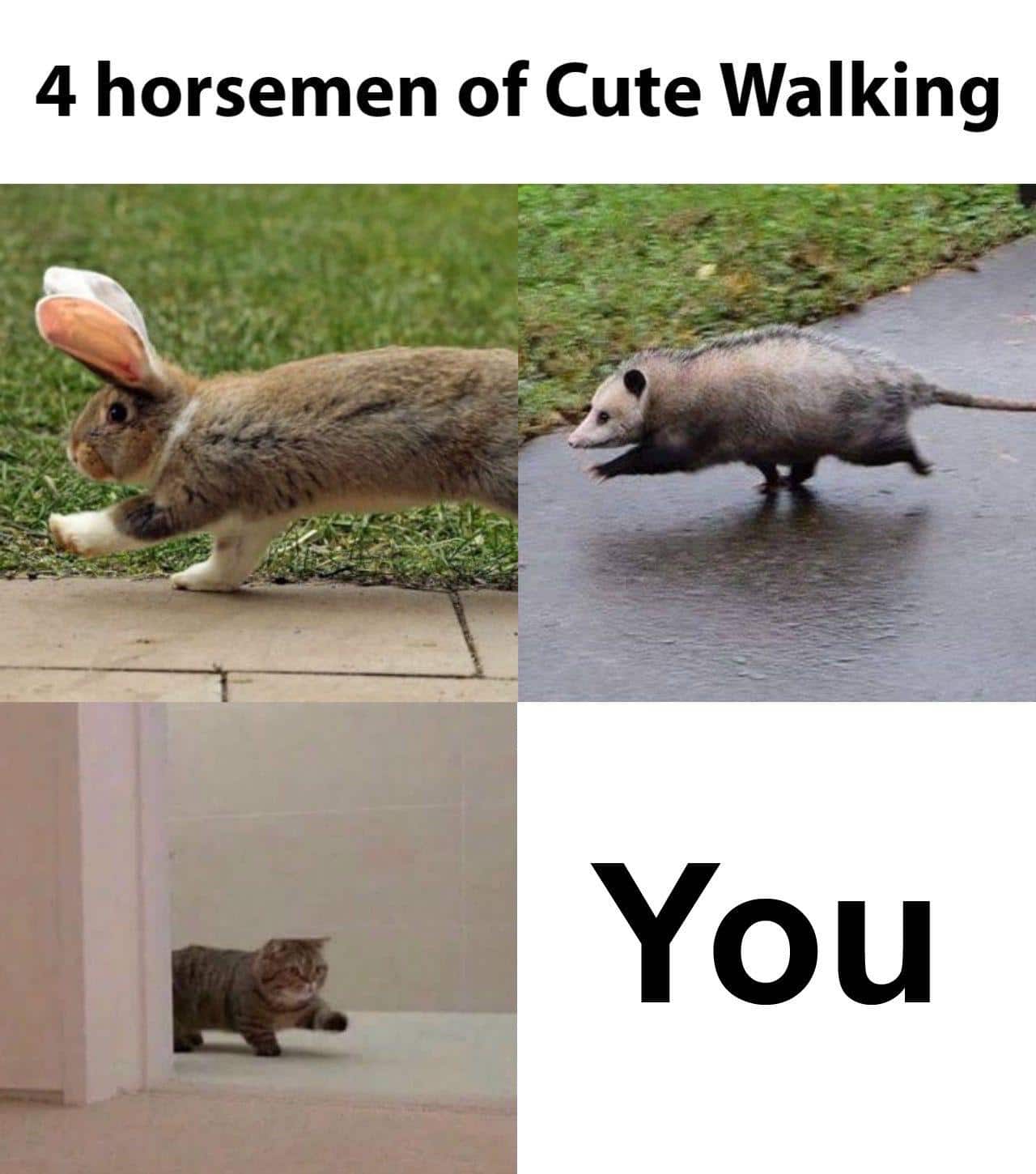 Wholesome memes, Hitler Wholesome Memes Wholesome memes, Hitler text: 4 horsemen of Cute Walking You 