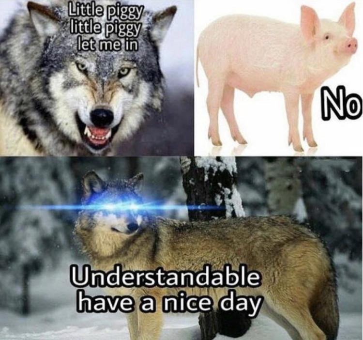 Wholesome memes,  Wholesome Memes Wholesome memes,  text: Uiitle piggy little piggy .-!ßqlet me ih Understandable have a nice day 