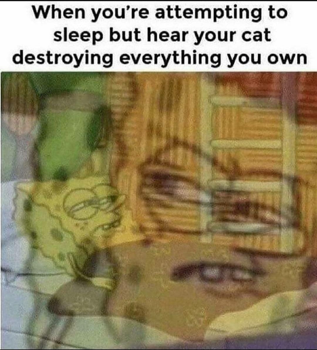 Spongebob, MEOW, MEOW, MEOW Spongebob Memes Spongebob, MEOW, MEOW, MEOW text: When you're attempting to sleep but hear your cat destroying everything you own 