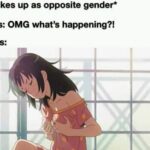 Anime Memes Anime,  text: *Wakes up as opposite gender* Girls: OMG what
