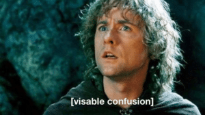 Merry visible confusion LOTR meme template