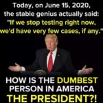 Political Memes Political, Trump, America, Tj0, Gr8, George Carlin text: Today, on June 15, 2020, the stable genius actually said: "If we stop testing right now, we