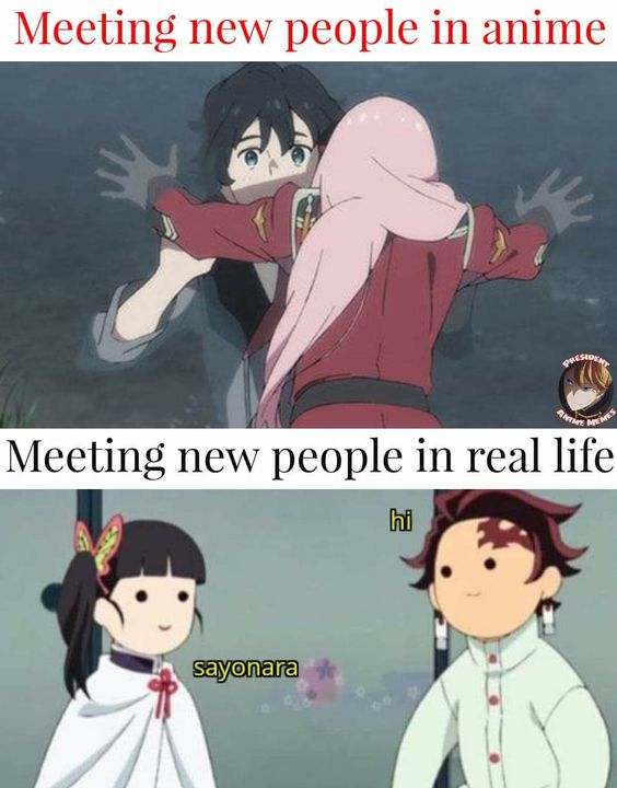Anime, Socially Awkward Anime Memes Anime, Socially Awkward text: Meeting new people in anime Meeting new people in real life sqyonara 