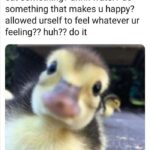 Wholesome Memes Wholesome memes, Thanks text: did u take care of urself today? eat something? drink water? do something that makes u happy? allowed urself to feel whatever ur feeling?? huh?? do it  Wholesome memes, Thanks
